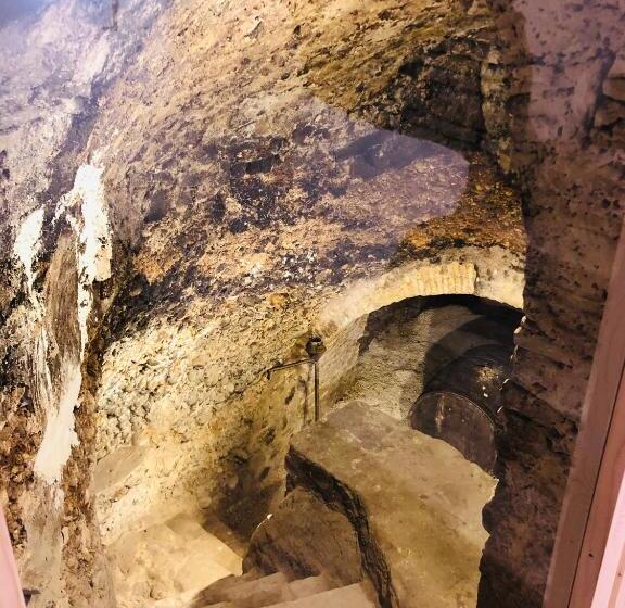 آپارتمان سوپریور 1 خوابه, Ca  Del Borgo