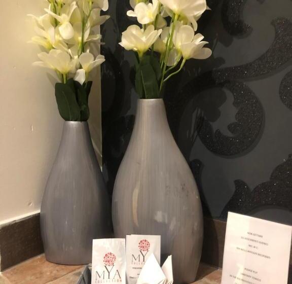 آپارتمان سوپریور 1 خوابه, Ca  Del Borgo