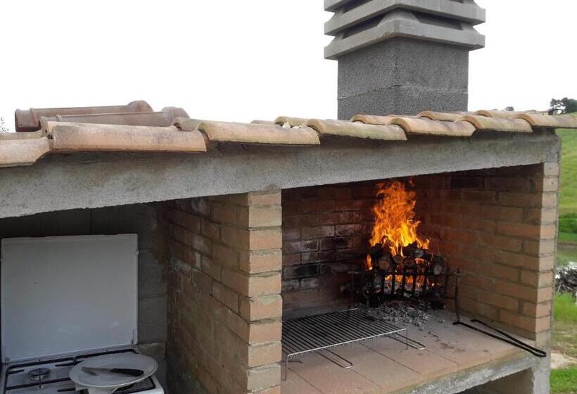 شقة غرفة واحدة مزودة بتراس, Agriturismo La Stradaccia