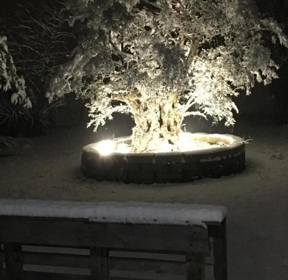 スタンダードルーム, Il Leccio