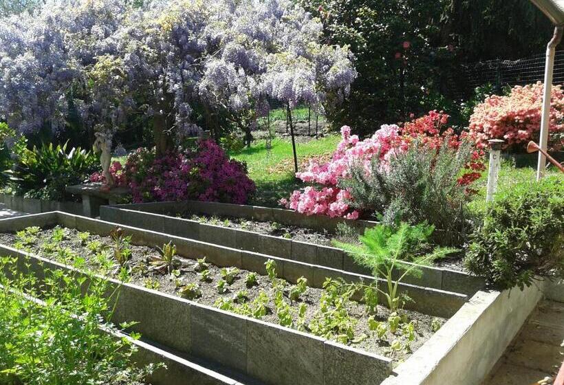 חדר סטנדרט נוף לגינה, Swanlake Rooms