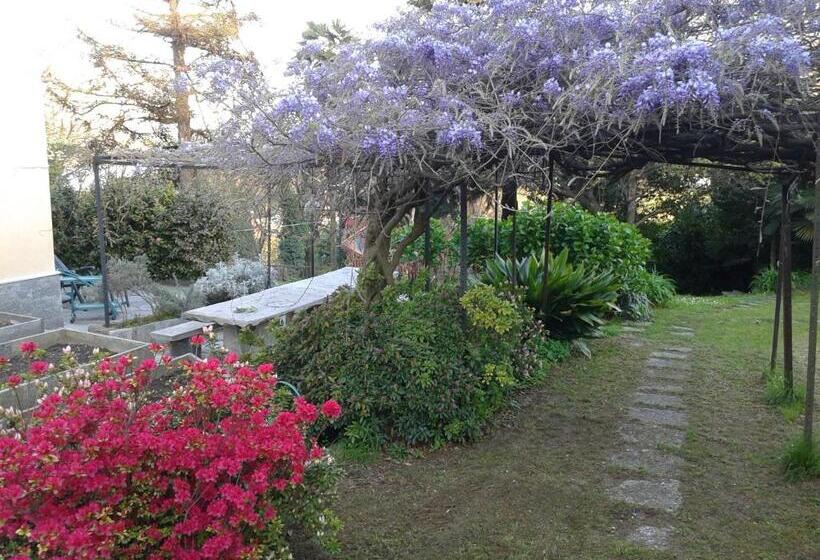 חדר משפחתי, Swanlake Rooms