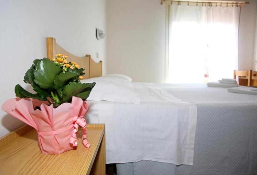 スタンダードルーム, Serafini Misano Adriatico