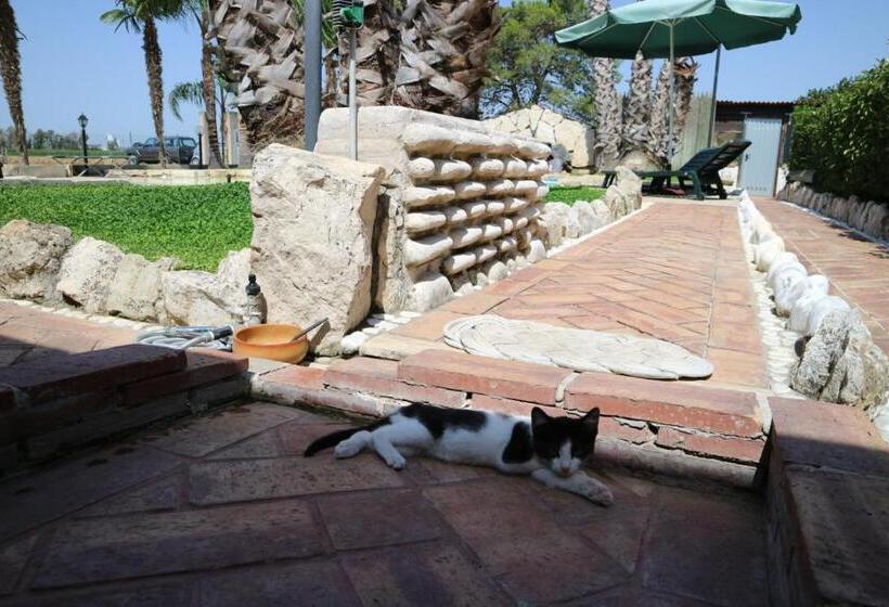 דירת חדר, Aurelio Rapillo