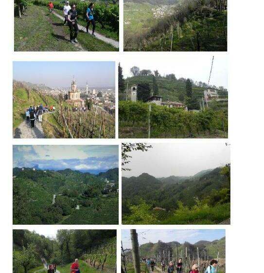 חדר סטנדרט, Da Meri Tra Le Colline Del Prosecco Docg Locazione Turistica