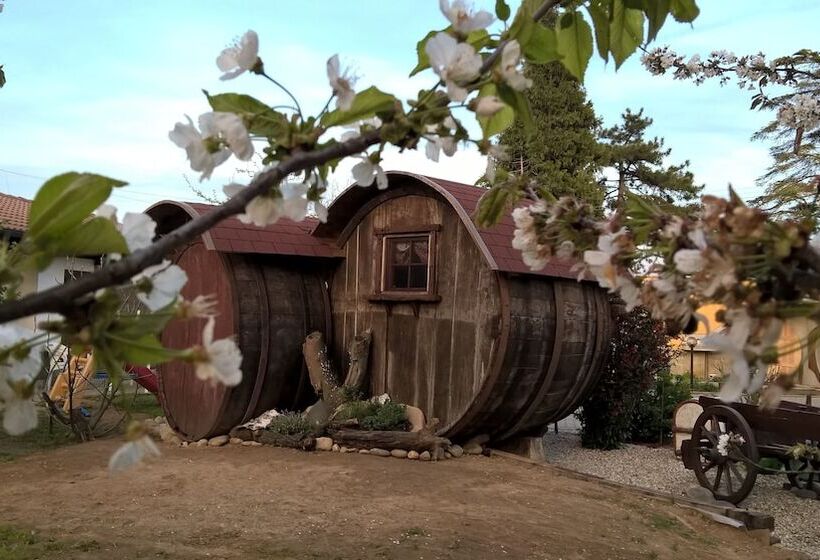 Номер Стандарт, B&b Pervinca