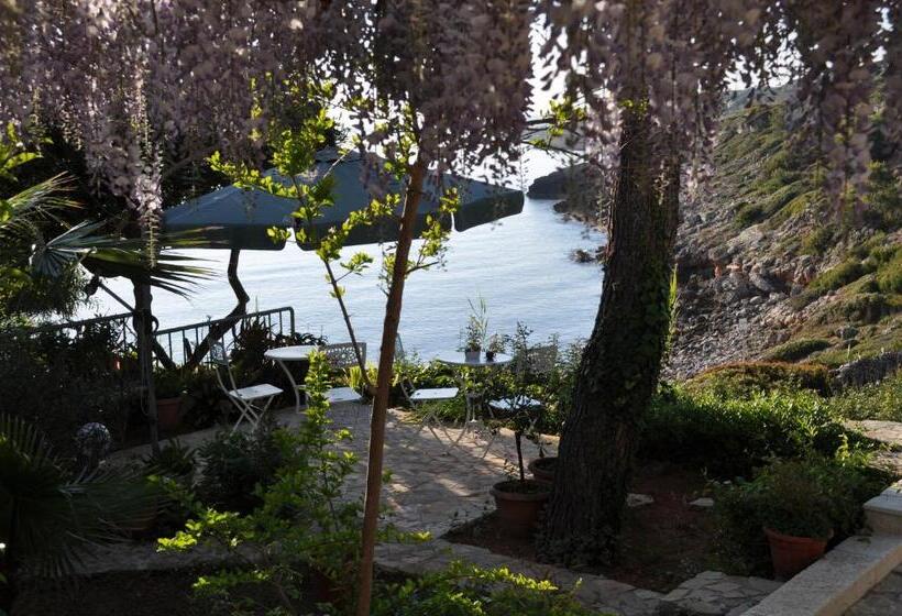 2 Sovrums Lägenhet, B&b Viadelmare