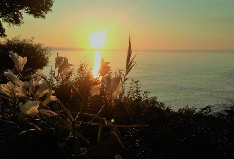 1 Sovrums Superior Lägenhet, B&b Viadelmare