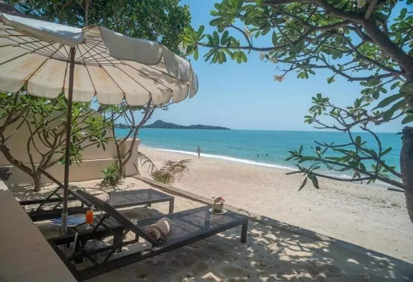 سوییت با چشمانداز دریا, Aloha Resort