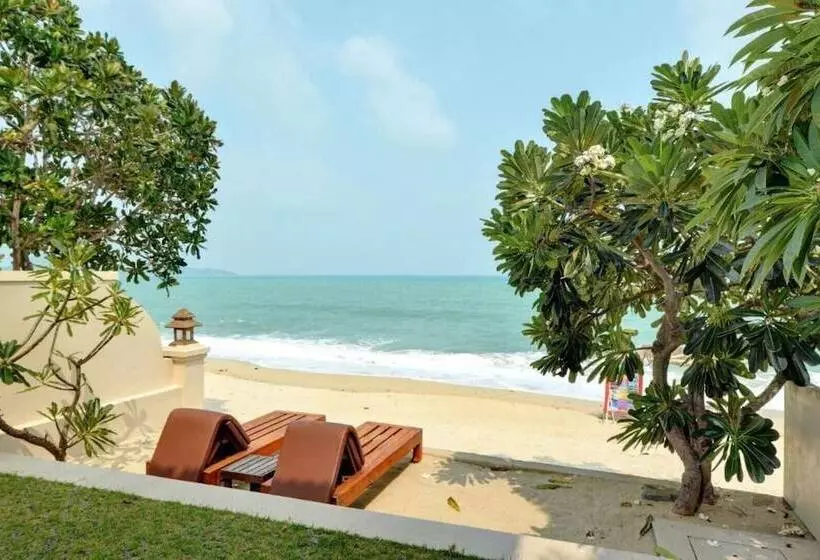سوییت با چشمانداز دریا, Aloha Resort