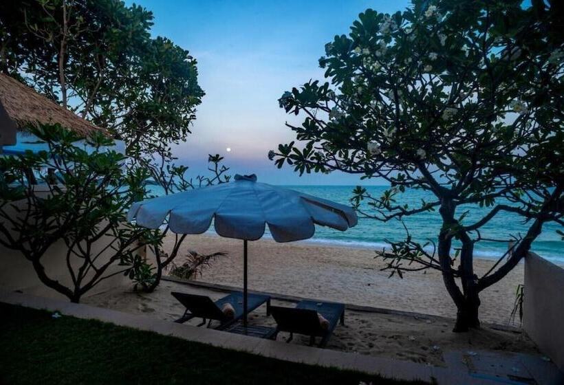 海景套房, Aloha Resort