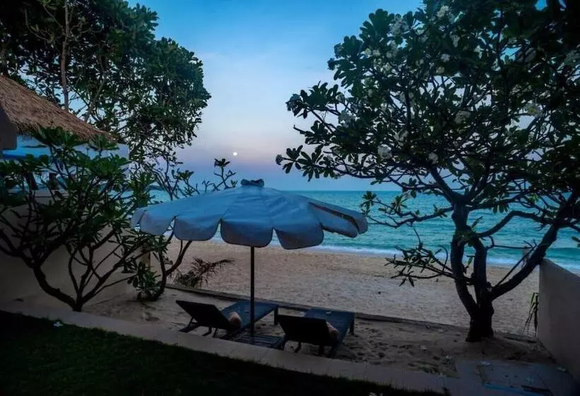 سوییت با چشمانداز دریا, Aloha Resort