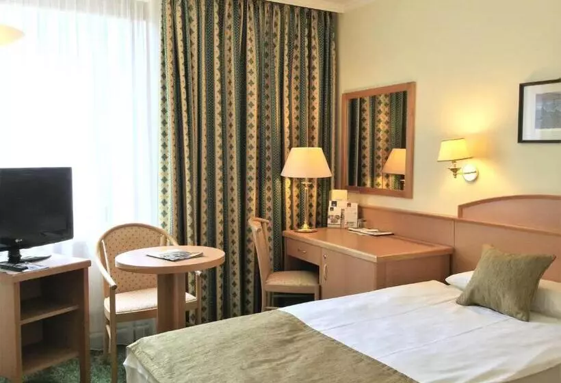 スタンダードシングルルーム, Danubius Hotel Erzsébet City Center