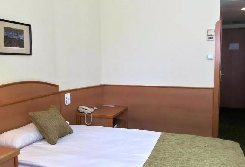 スタンダードシングルルーム, Danubius Hotel Erzsébet City Center
