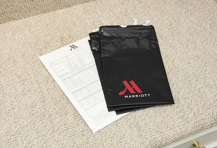 Люкс, Nagoya Marriott Associa