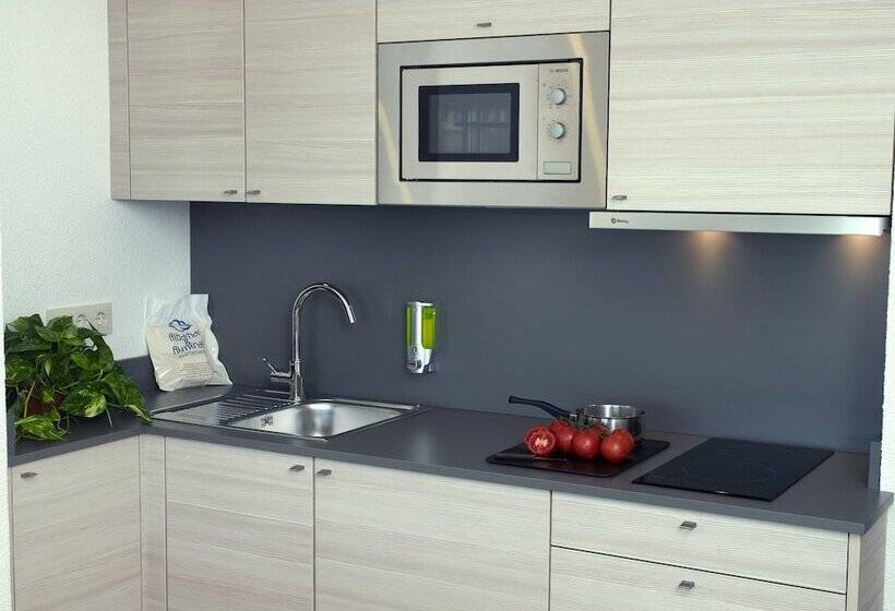 带1个卧室的公寓, Almirall Apartaments