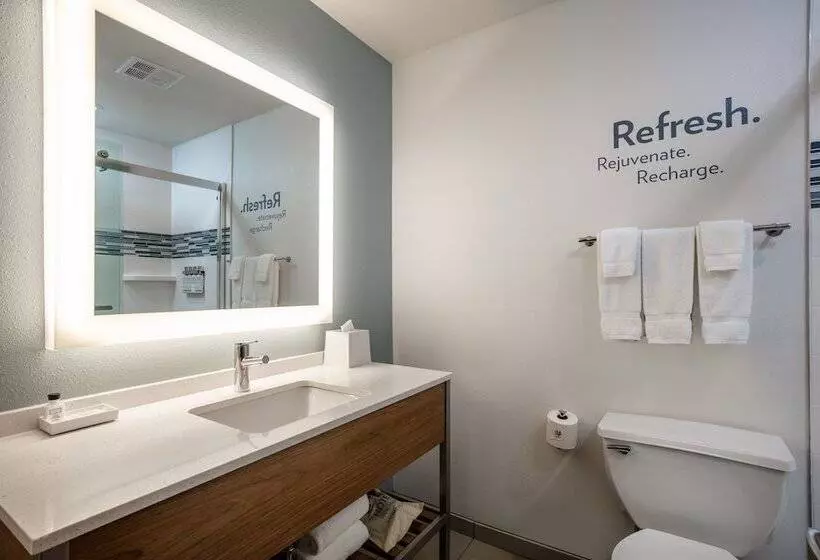 スイート, Even Hotels Denver Tech Center Englewood, An Ihg