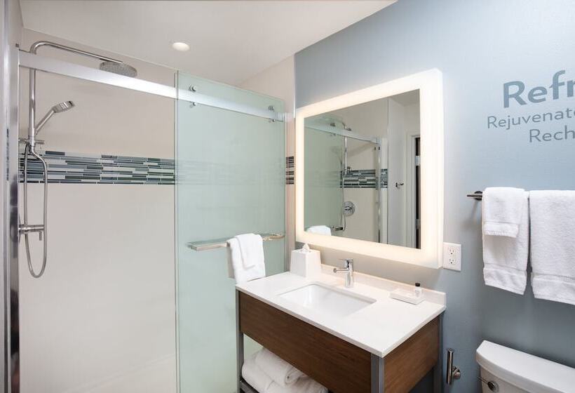 Suite, Even Hotels Denver Tech Center Englewood, An Ihg