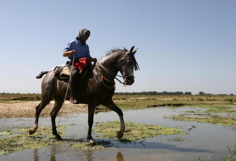 スタンダードトリプルルーム, Doñana Blues