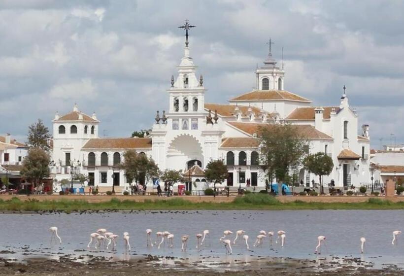 スタンダード4人部屋, Doñana Blues