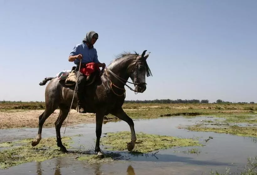 اتاق استاندارد چهار تخته, Doñana Blues