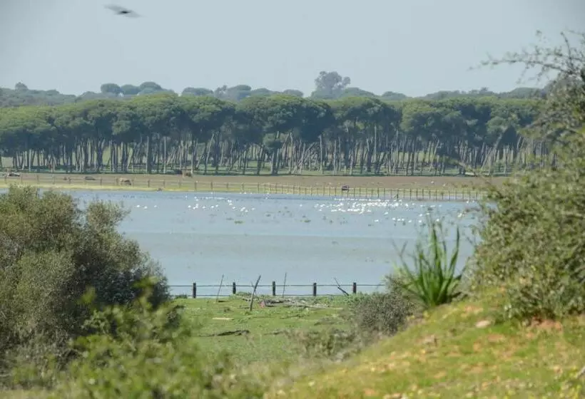 اتاق استاندارد چهار تخته, Doñana Blues
