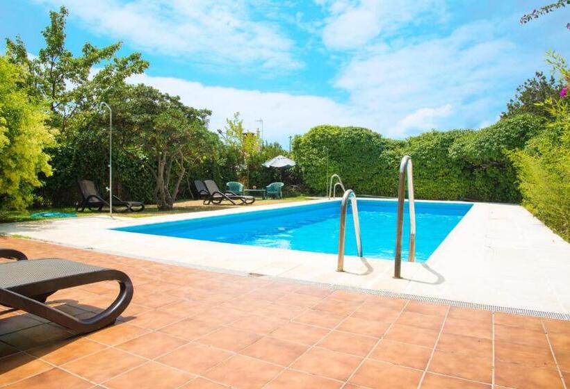 スタンダードシングルルーム, Doñana Blues