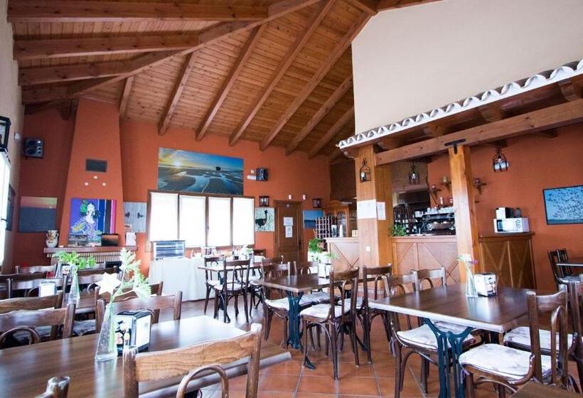 スタンダードシングルルーム, Doñana Blues