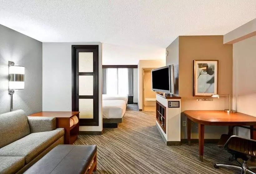 ２ダブルベッドのスタンダードルーム, Hyatt Place Baton Rouge/i 10