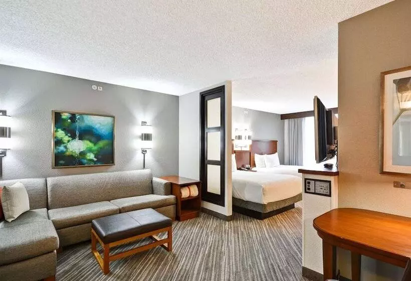 ２ダブルベッドのスタンダードルーム, Hyatt Place Baton Rouge/i 10