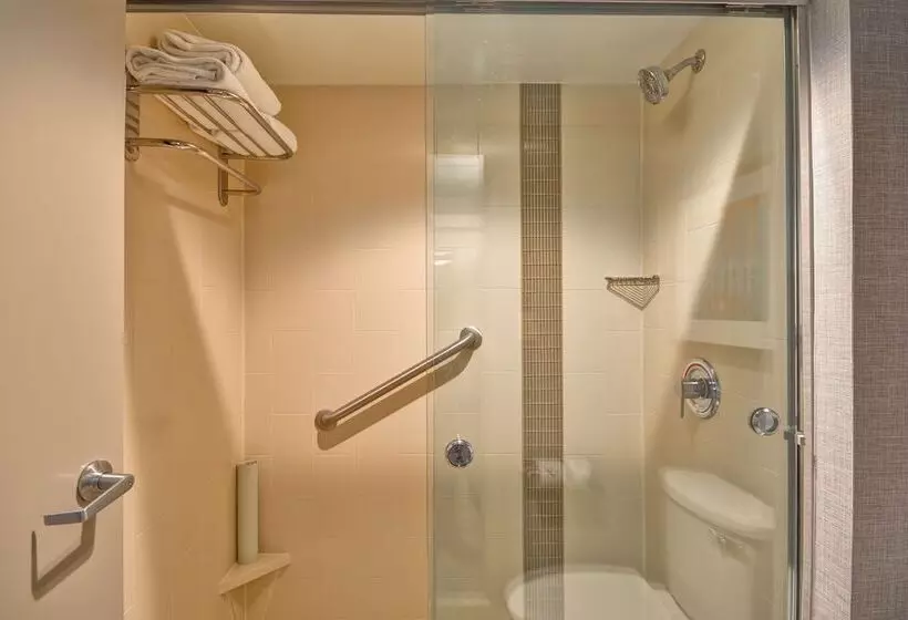 ダブルベッドスタンダードルーム, Hyatt Place Baton Rouge/i 10