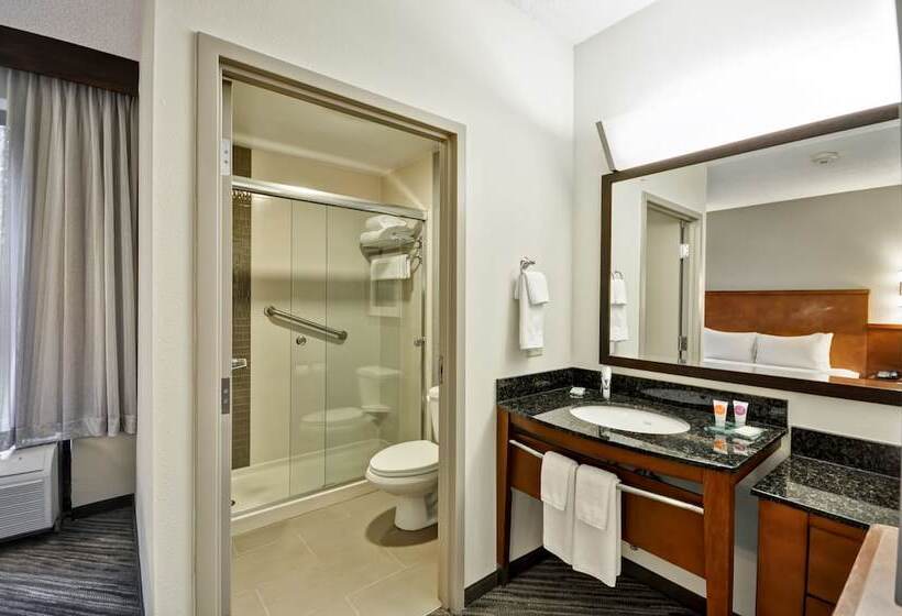 Номер Стандарт Двуспальная Кровать, Hyatt Place Baton Rouge/i 10