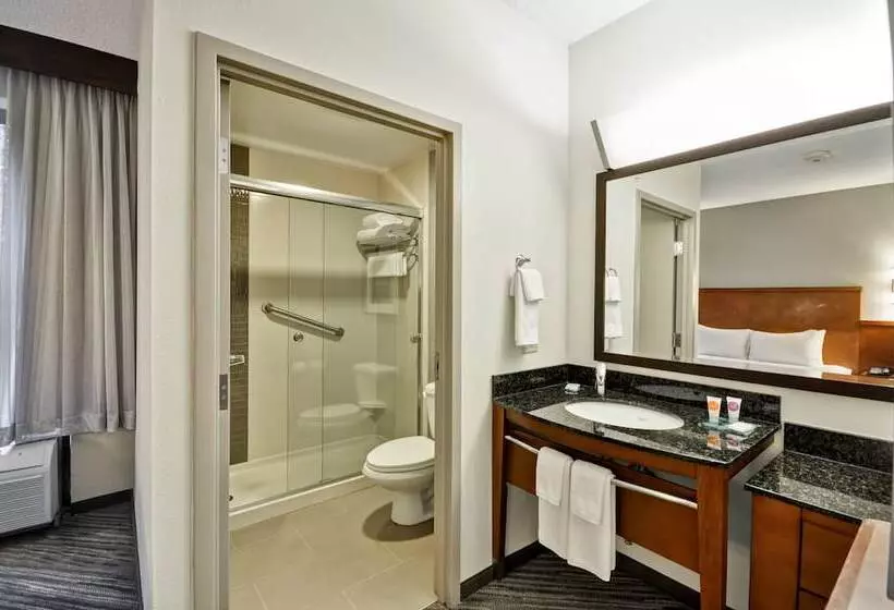 ダブルベッドスタンダードルーム, Hyatt Place Baton Rouge/i 10