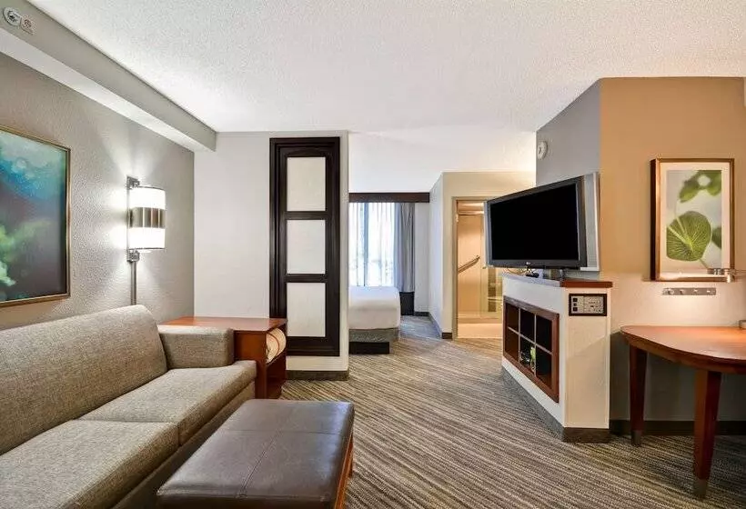 ダブルベッドスタンダードルーム, Hyatt Place Baton Rouge/i 10