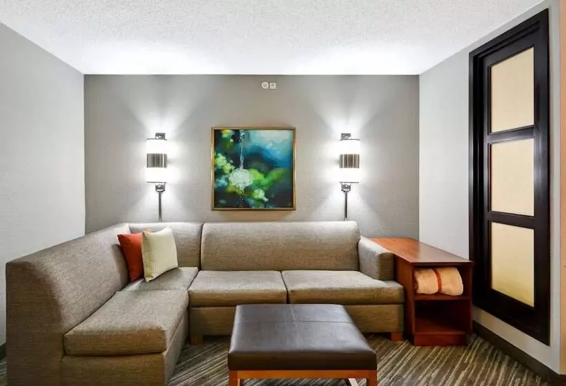 ダブルベッドスタンダードルーム, Hyatt Place Baton Rouge/i 10