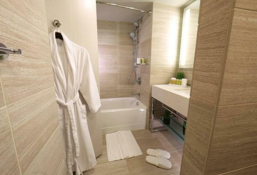 带2个双人床的标准工作室, Millennium Hilton New York One Un Plaza