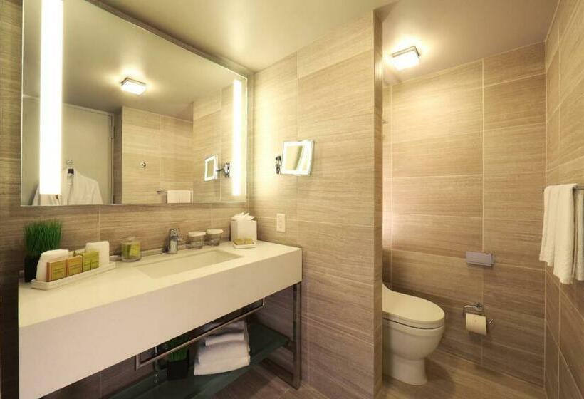 带2个双人床的标准工作室, Millennium Hilton New York One Un Plaza