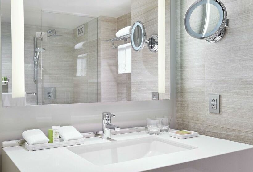 带大床的标准间, Millennium Hilton New York One Un Plaza