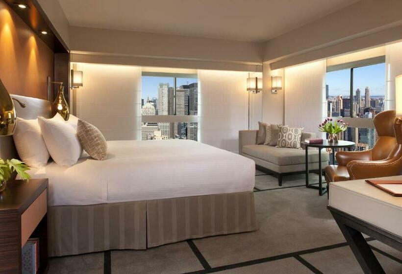 适合残疾人士使用的带超级大床的标准间, Millennium Hilton New York One Un Plaza