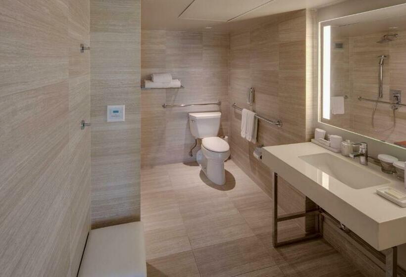 适合残疾人士使用的带超级大床的标准间, Millennium Hilton New York One Un Plaza