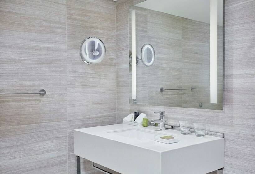 带大床的套房, Millennium Hilton New York One Un Plaza