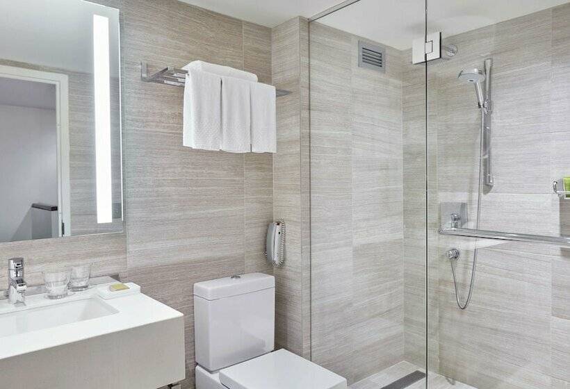 带大床的套房, Millennium Hilton New York One Un Plaza