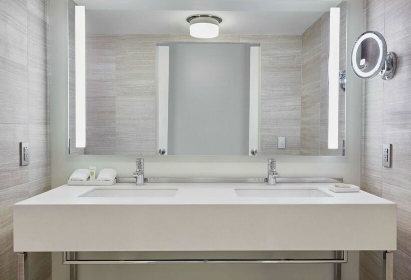 带大床的套房, Millennium Hilton New York One Un Plaza