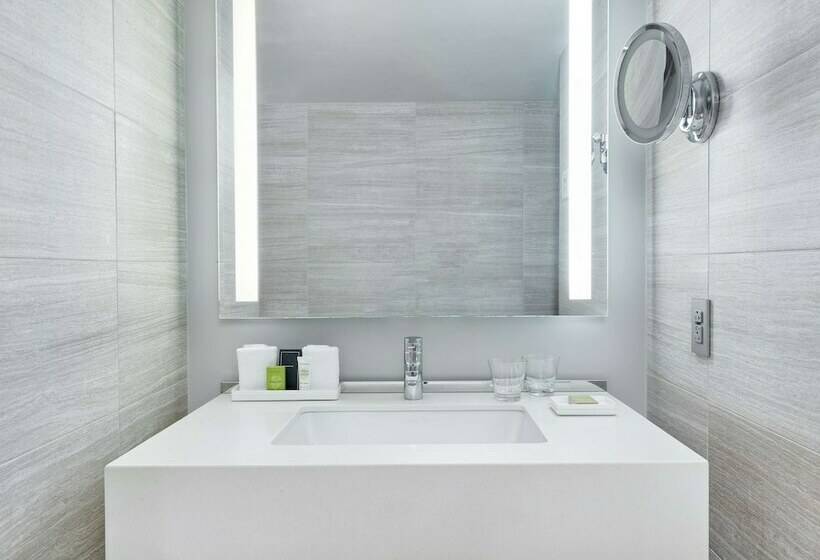 带特大床的标准间, Millennium Hilton New York One Un Plaza