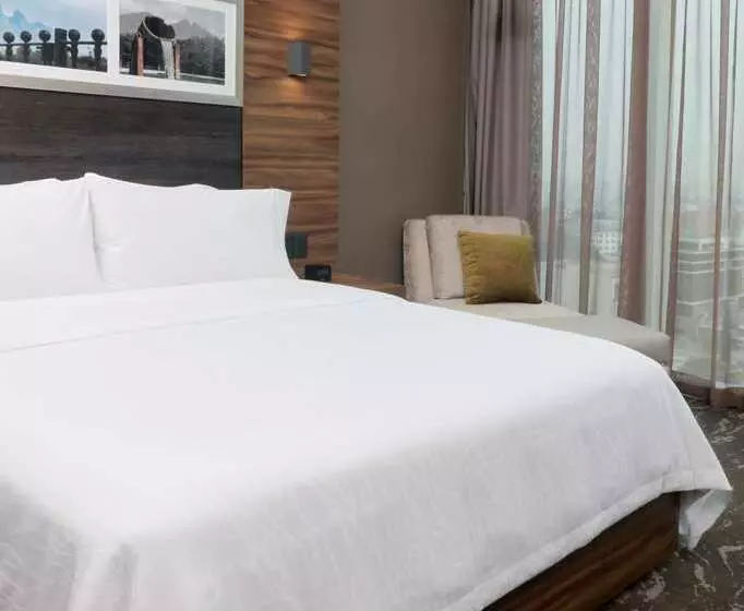 اتاق استاندارد با تخت دو نفره بزرگ, Millennium Hilton New York One Un Plaza