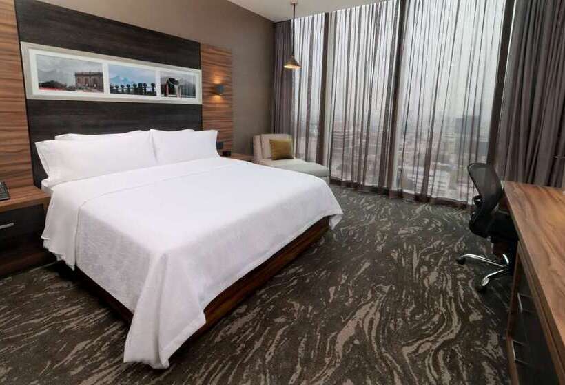 带特大床的标准间, Millennium Hilton New York One Un Plaza