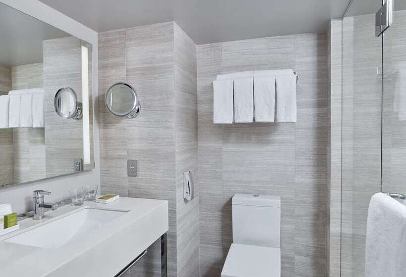 复式套房, Millennium Hilton New York One Un Plaza