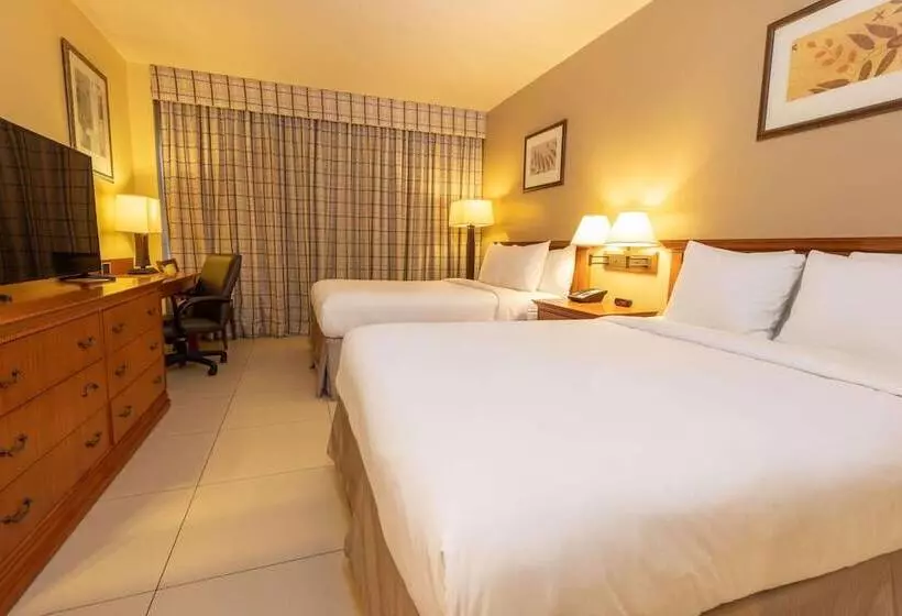Standard Room 2 Double Beds