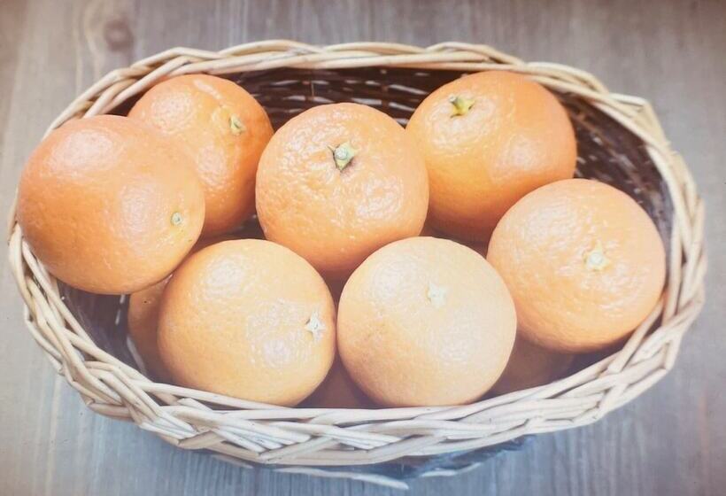 带1个卧室的舒适公寓, Hola Cathedral House