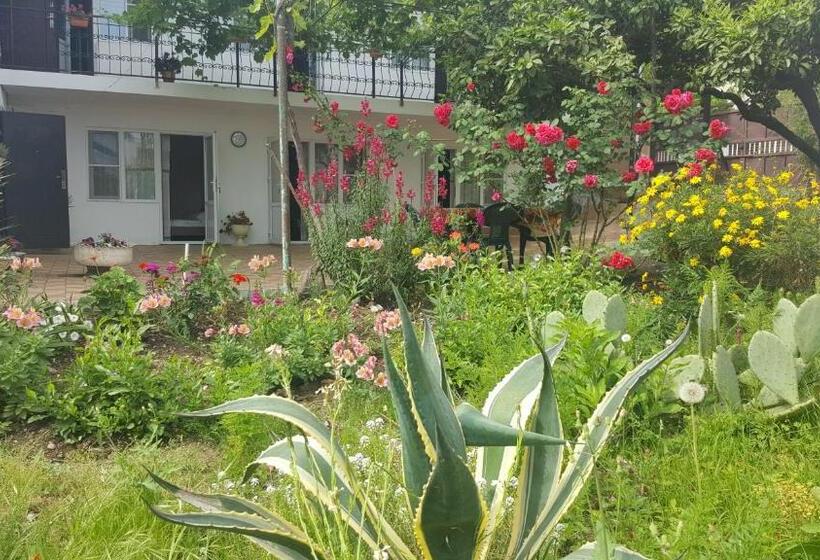 اتاق استاندارد سه نفره, Guest House On Demerjipa